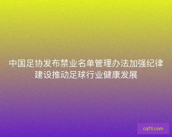 中国足协发布禁业名单管理办法加强纪律建设推动足球行业健康发展