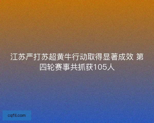 江苏严打苏超黄牛行动取得显著成效 第四轮赛事共抓获105人