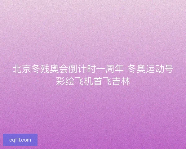 北京冬残奥会倒计时一周年 冬奥运动号彩绘飞机首飞吉林