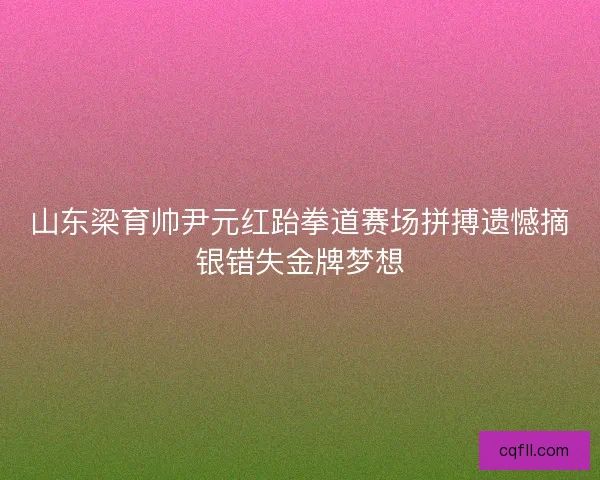 山东梁育帅尹元红跆拳道赛场拼搏遗憾摘银错失金牌梦想