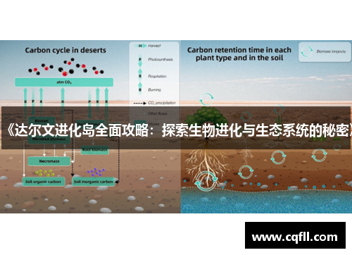 《达尔文进化岛全面攻略：探索生物进化与生态系统的秘密》